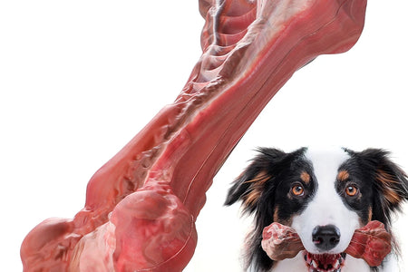 Dog Toys Aggressive Chewers Large Dogs Bone-Shaped Indestructible Dog Toys Nylon Interactive Dog Toys Teeth Cleaning